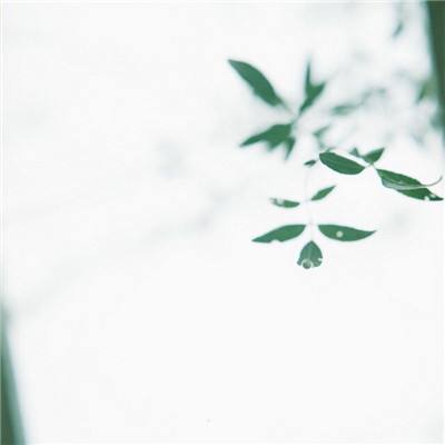自我介绍模拟器中文版游戏